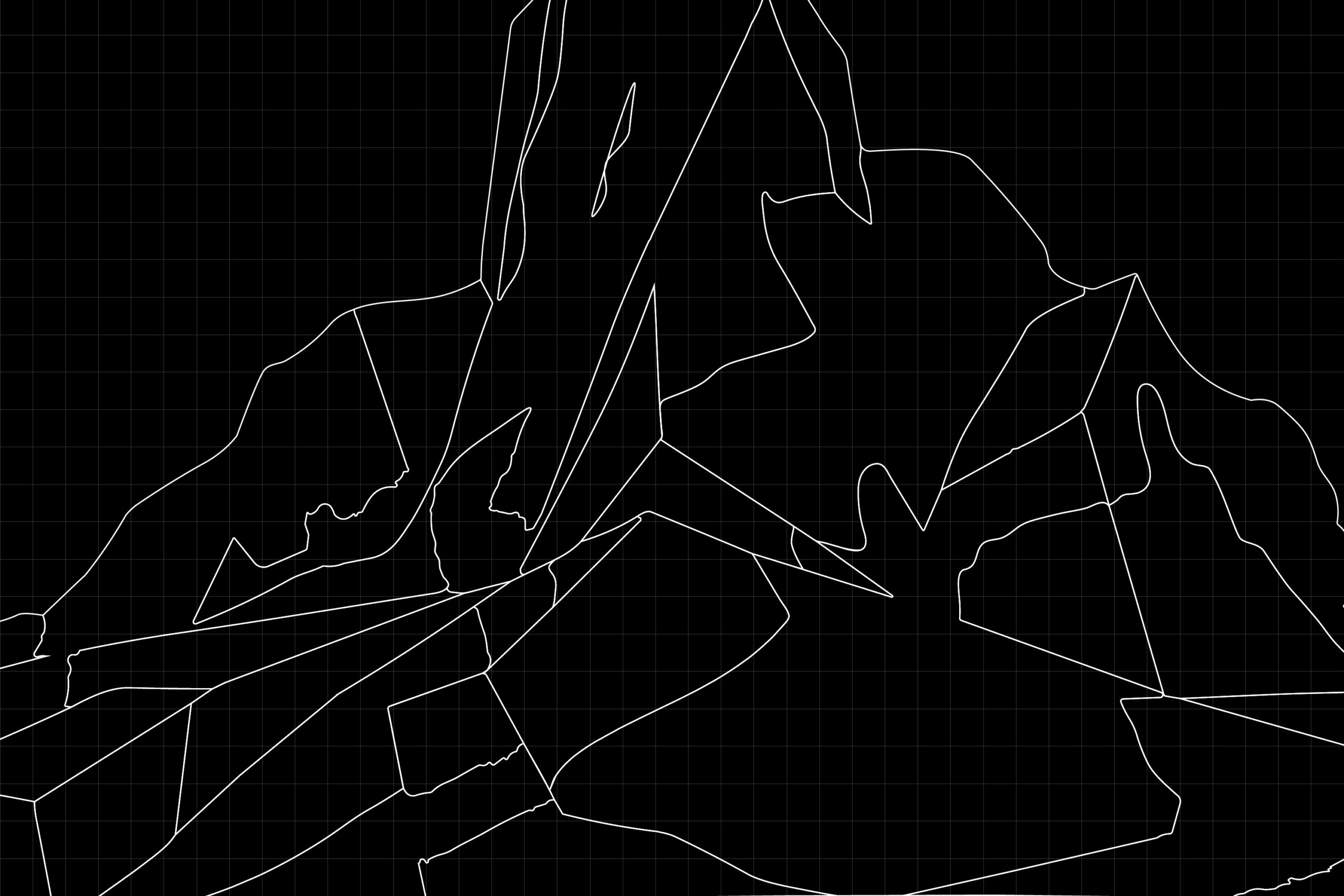 Graphic