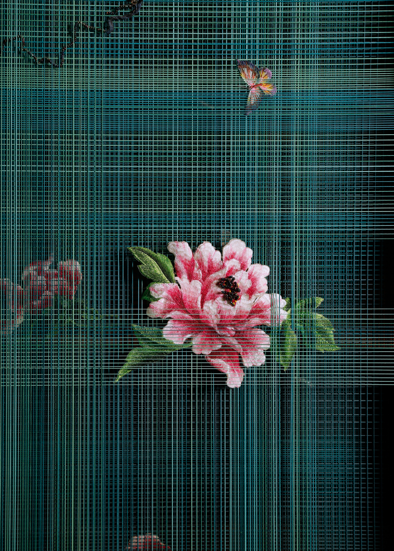 Screen