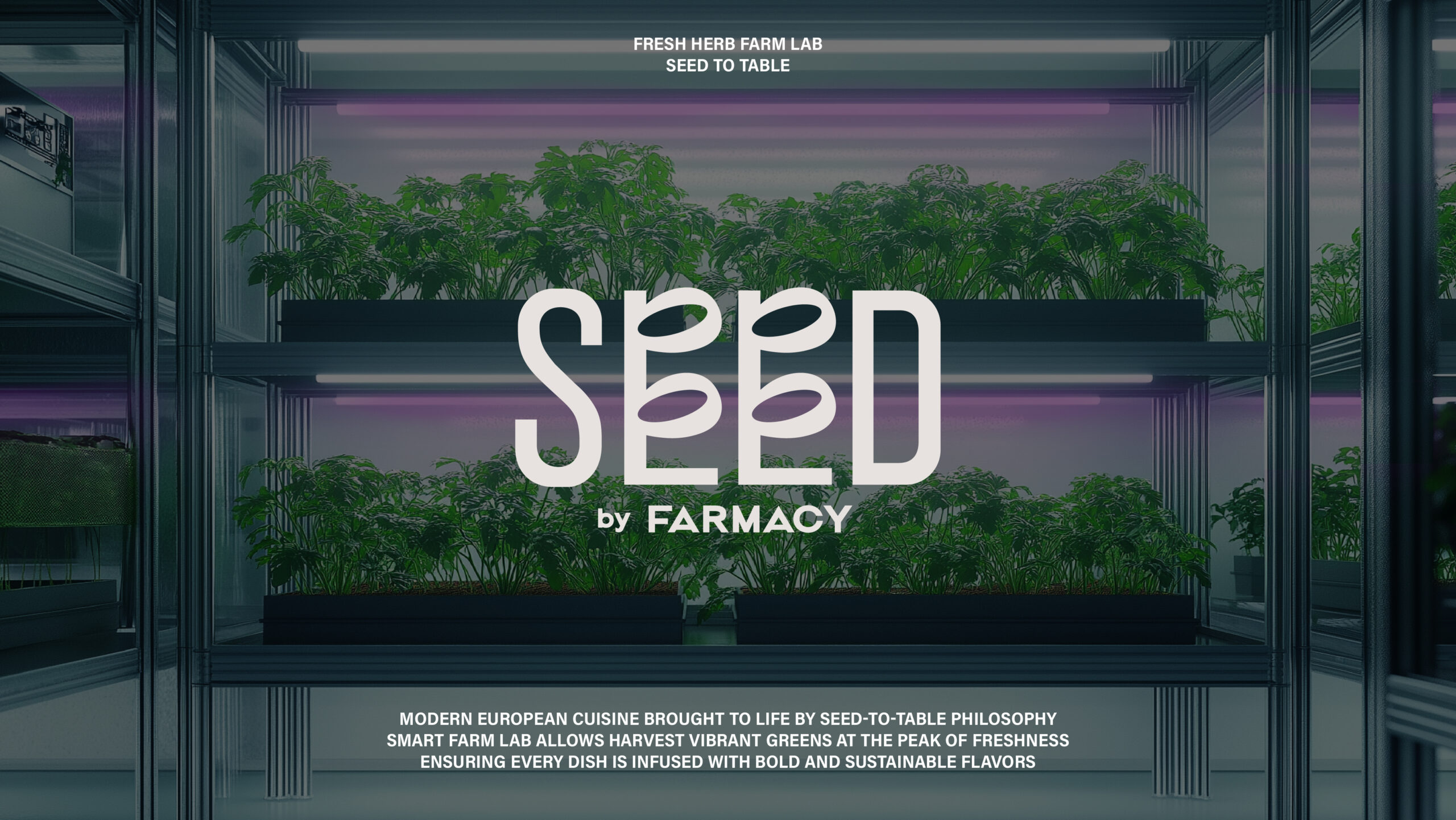 Seed By Farmacy | Branding & Packaging Design