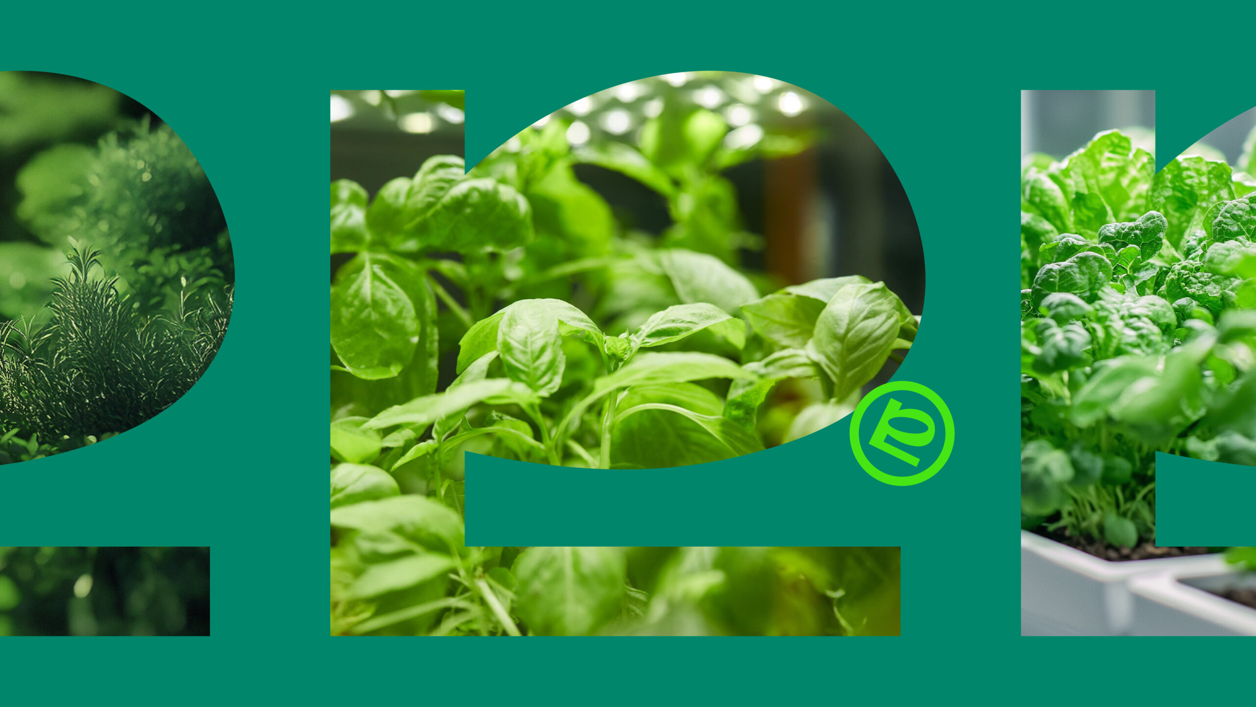 Seed By Farmacy | Branding & Packaging Design