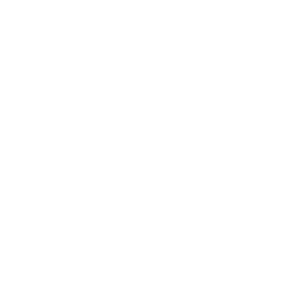 Logo 12
