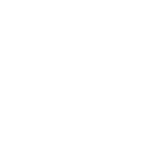 Logo 10
