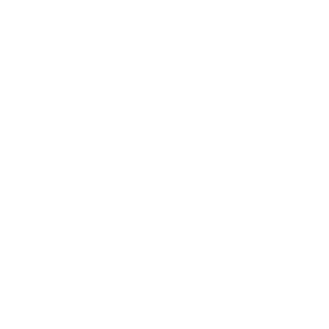 Logo 11